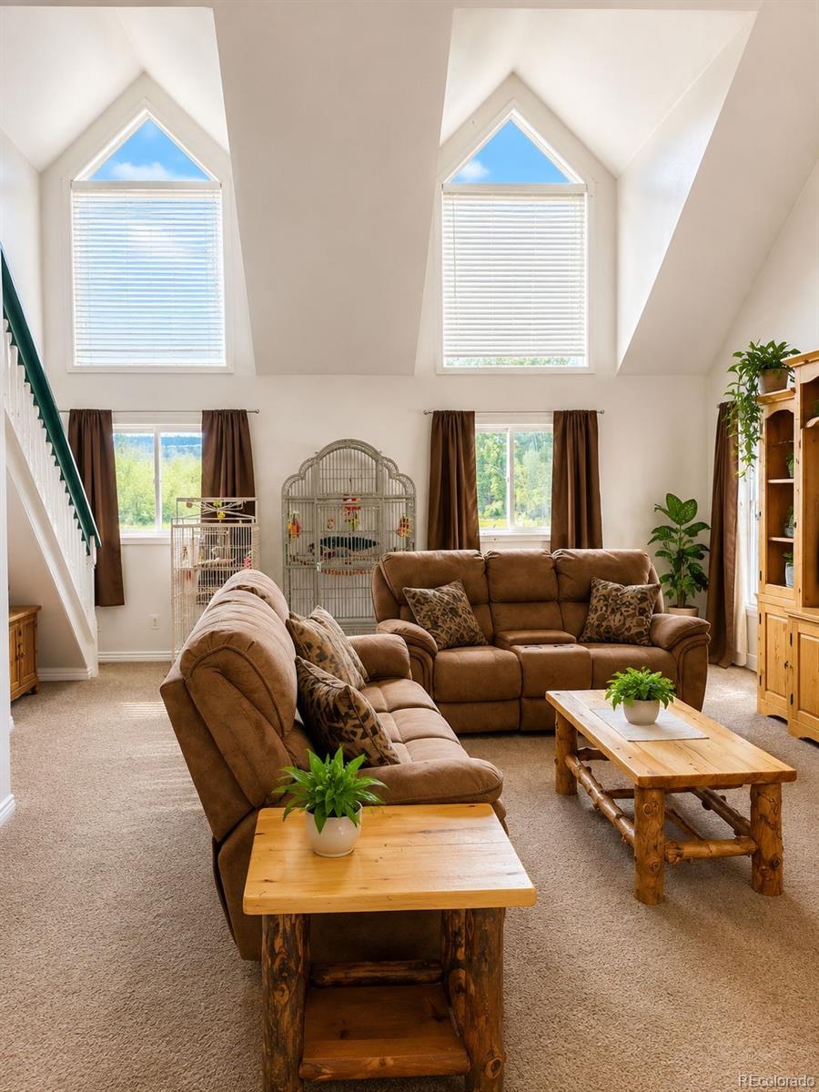 2805 Miner St, Idaho Springs, CO 80452