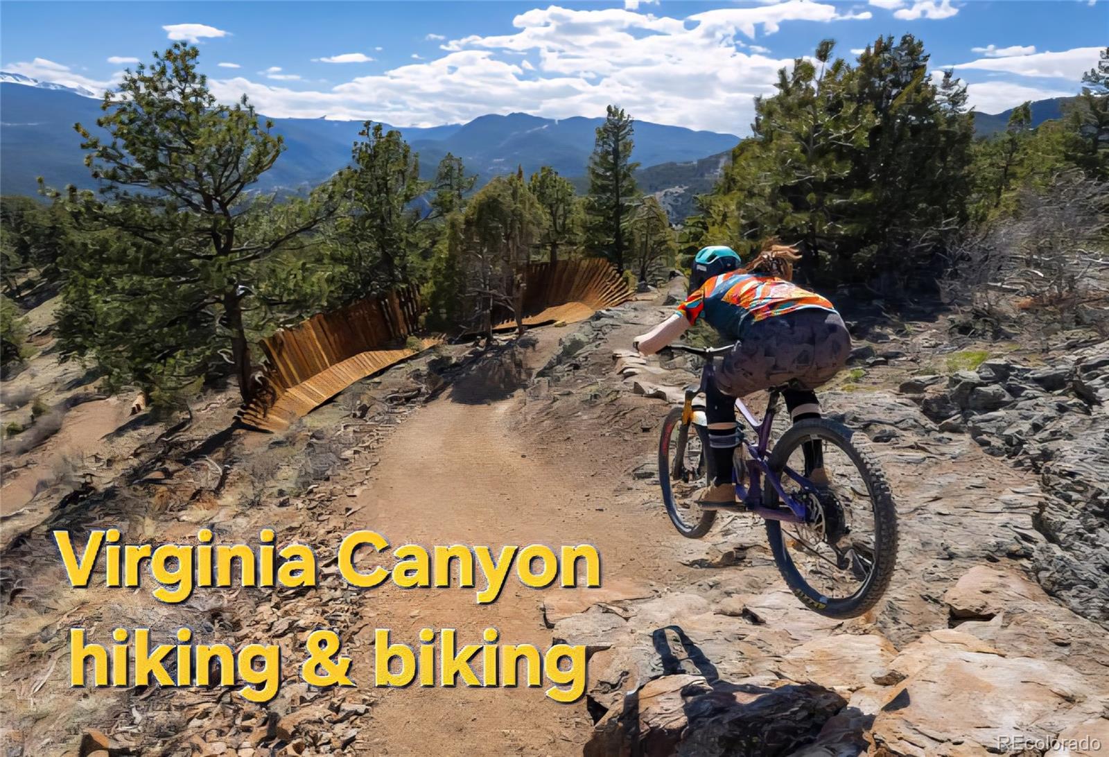 634 Pine Slope Rd, Idaho Springs, CO 80452