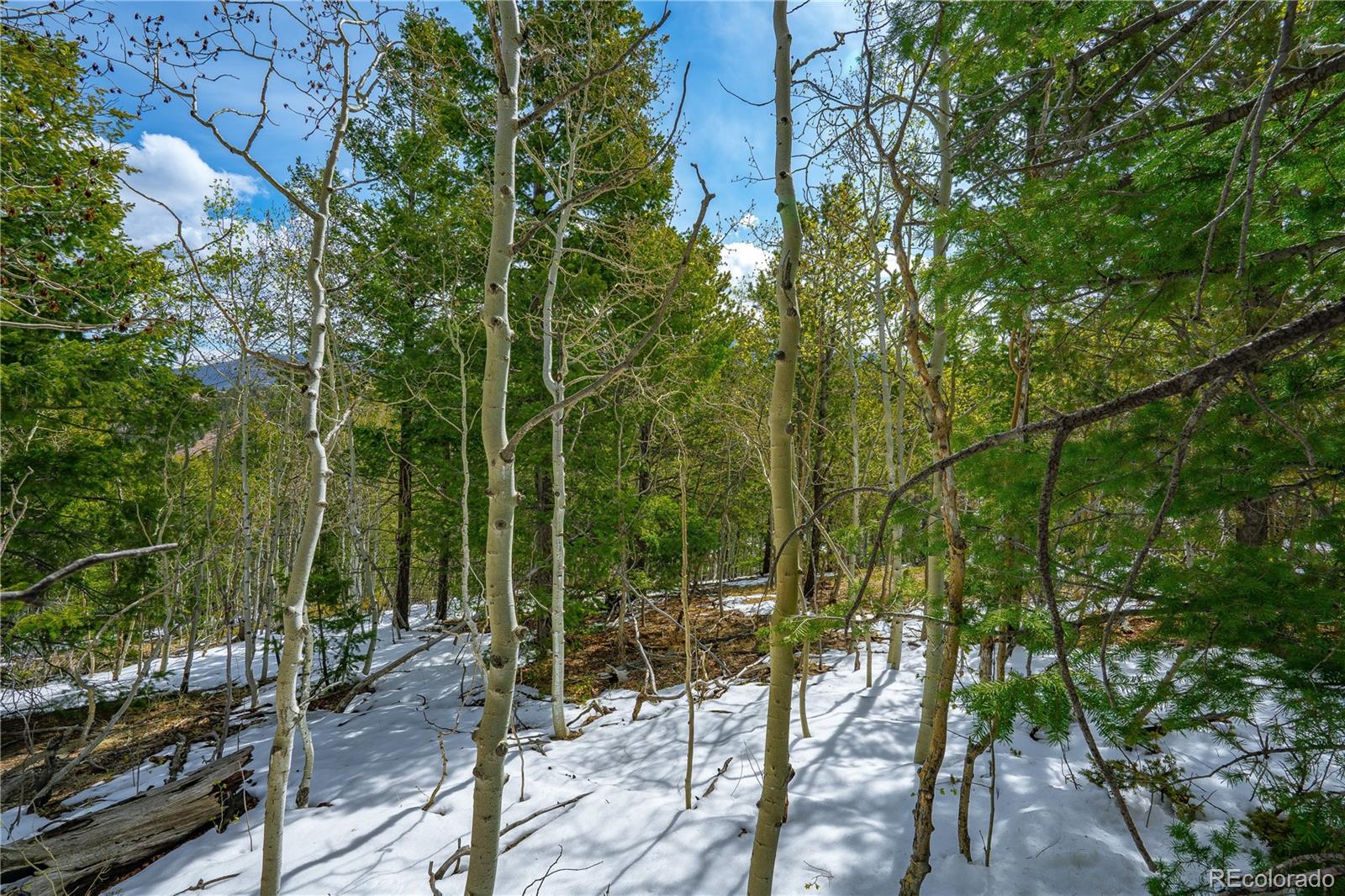 192 Deadwood Rd, Cripple Creek, CO 80813
