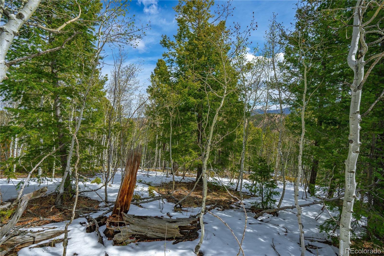 192 Deadwood Rd, Cripple Creek, CO 80813