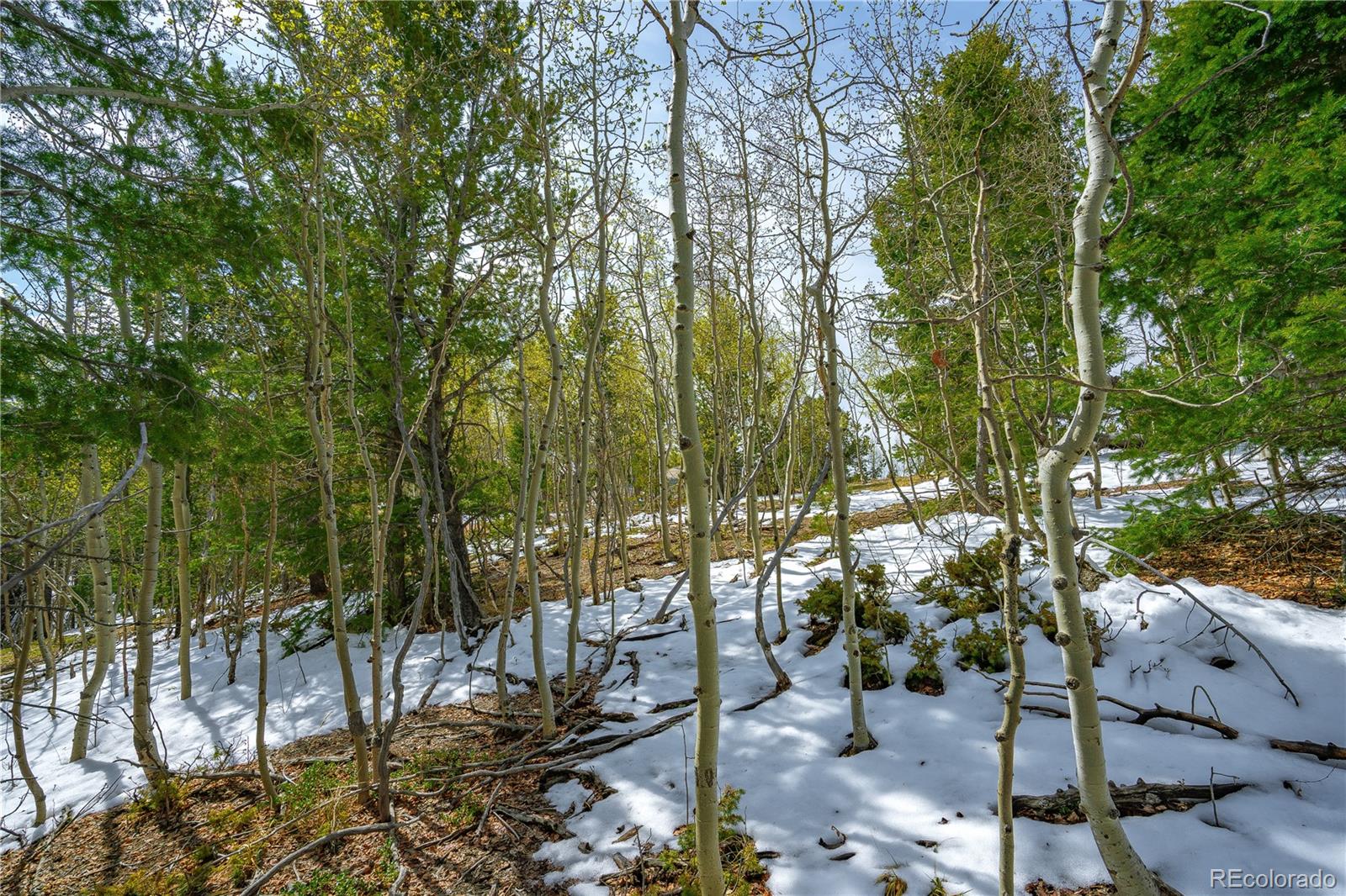 192 Deadwood Rd, Cripple Creek, CO 80813