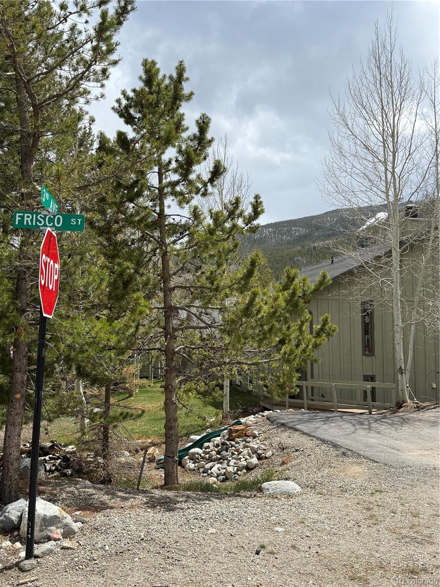 230 Frisco St, Frisco, CO 80443
