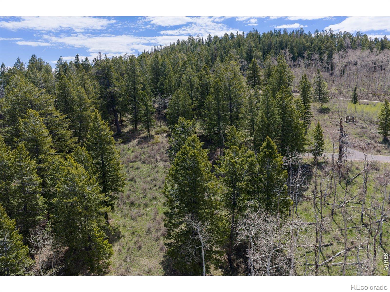 107 Cavesson Ct, Edwards, CO 81632