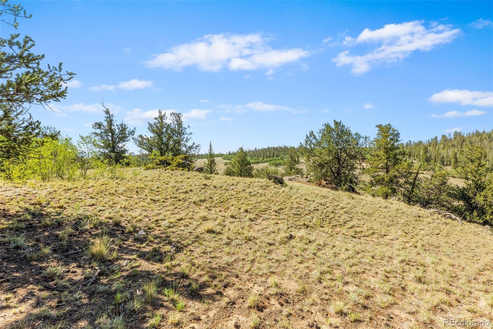 64 Carbine Rd, Jefferson, CO 80456