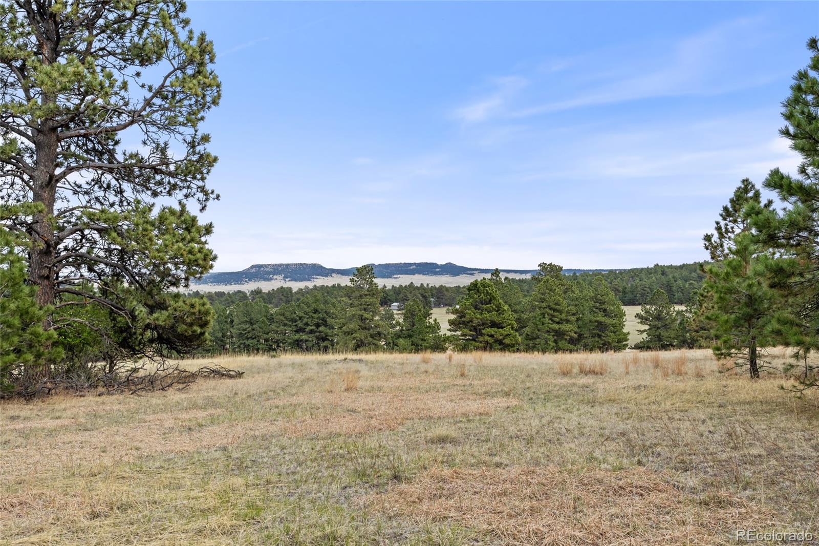 8653 N Teacup Rd, Elbert, CO 80106