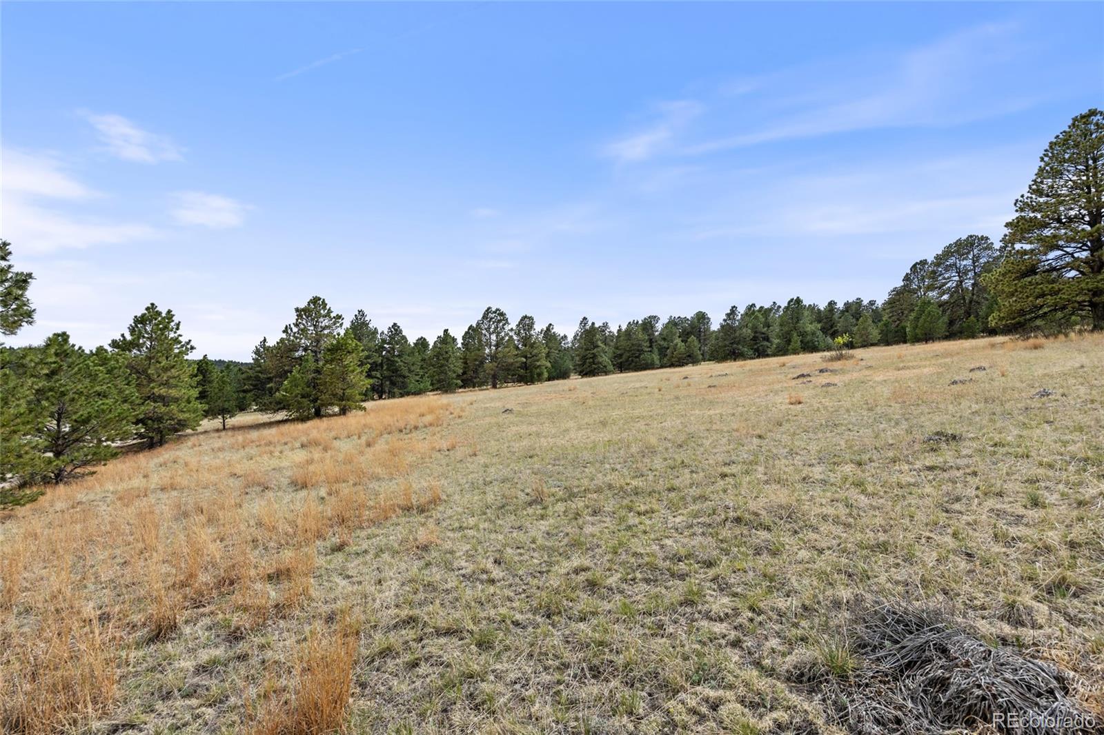 8653 N Teacup Rd, Elbert, CO 80106