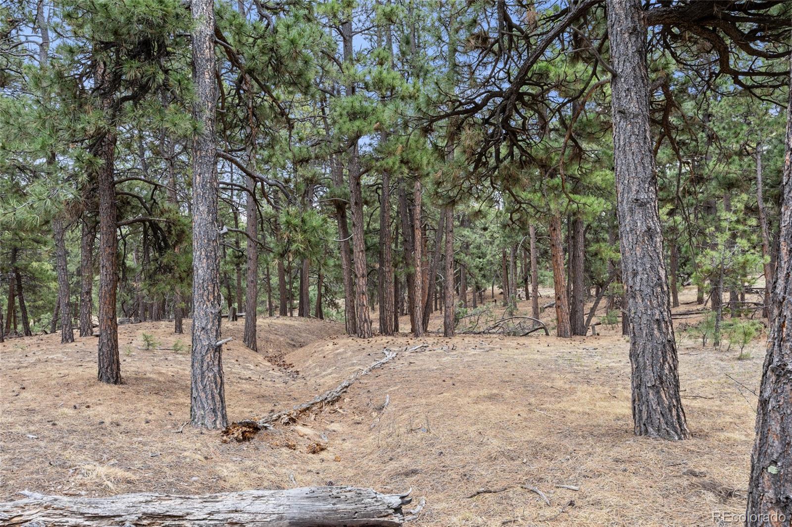 8653 N Teacup Rd, Elbert, CO 80106