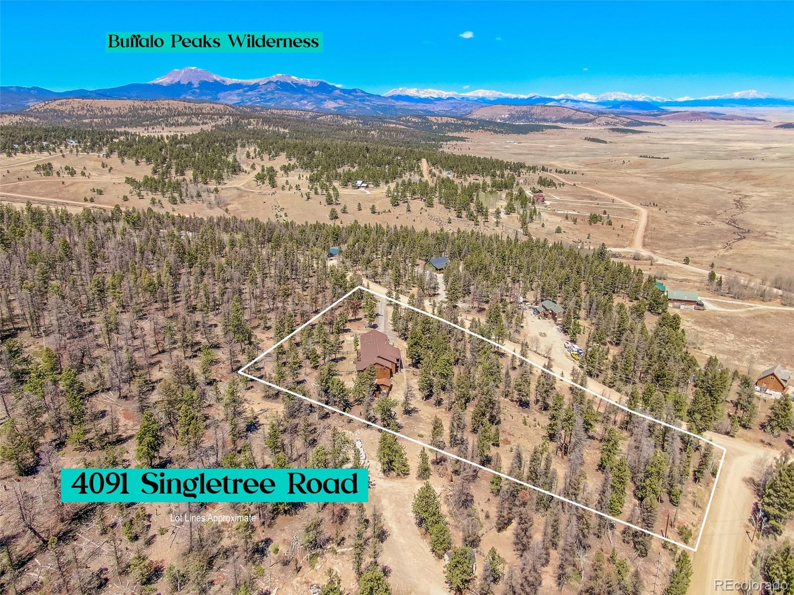 4091 Singletree Rd, Hartsel, CO 80449
