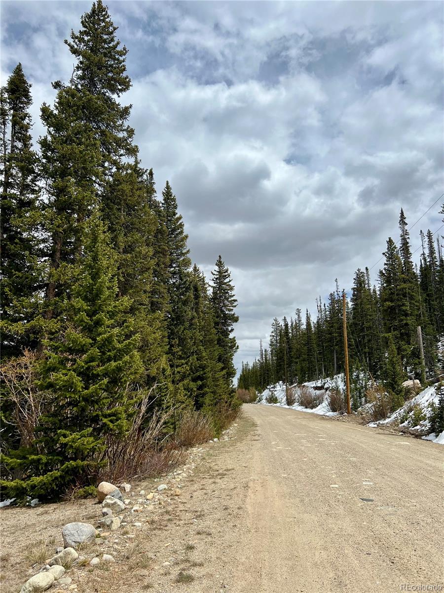 897 Gold Pan Ln Lot 0762, Fairplay, CO 80440