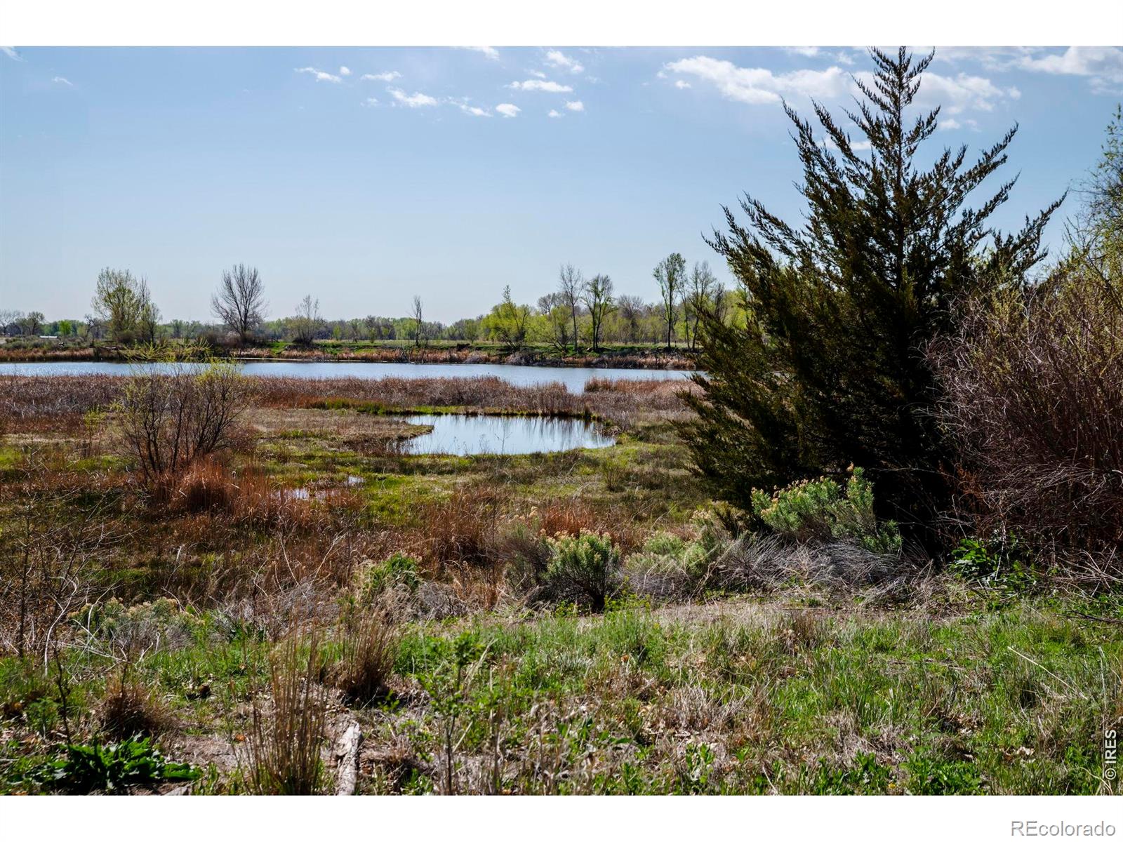 7800 Hygiene Rd, Longmont, CO 80503