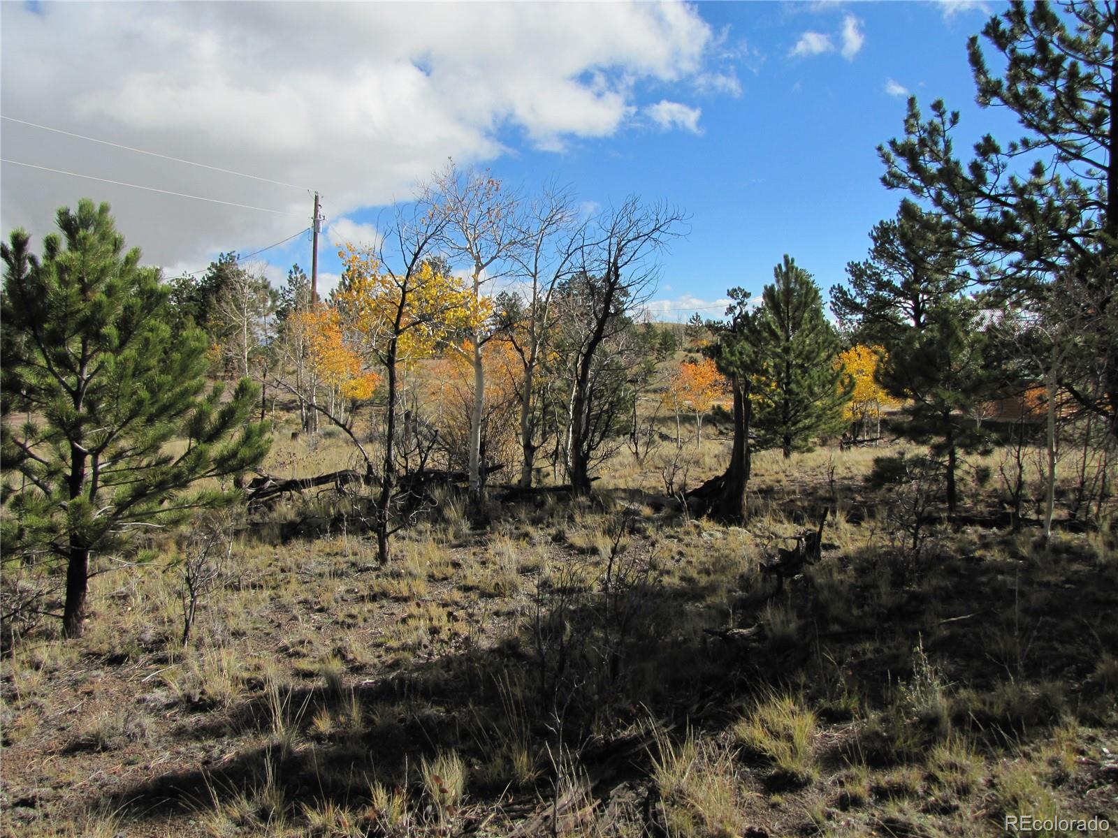 206 Bandolier Ct, Hartsel, CO 80449