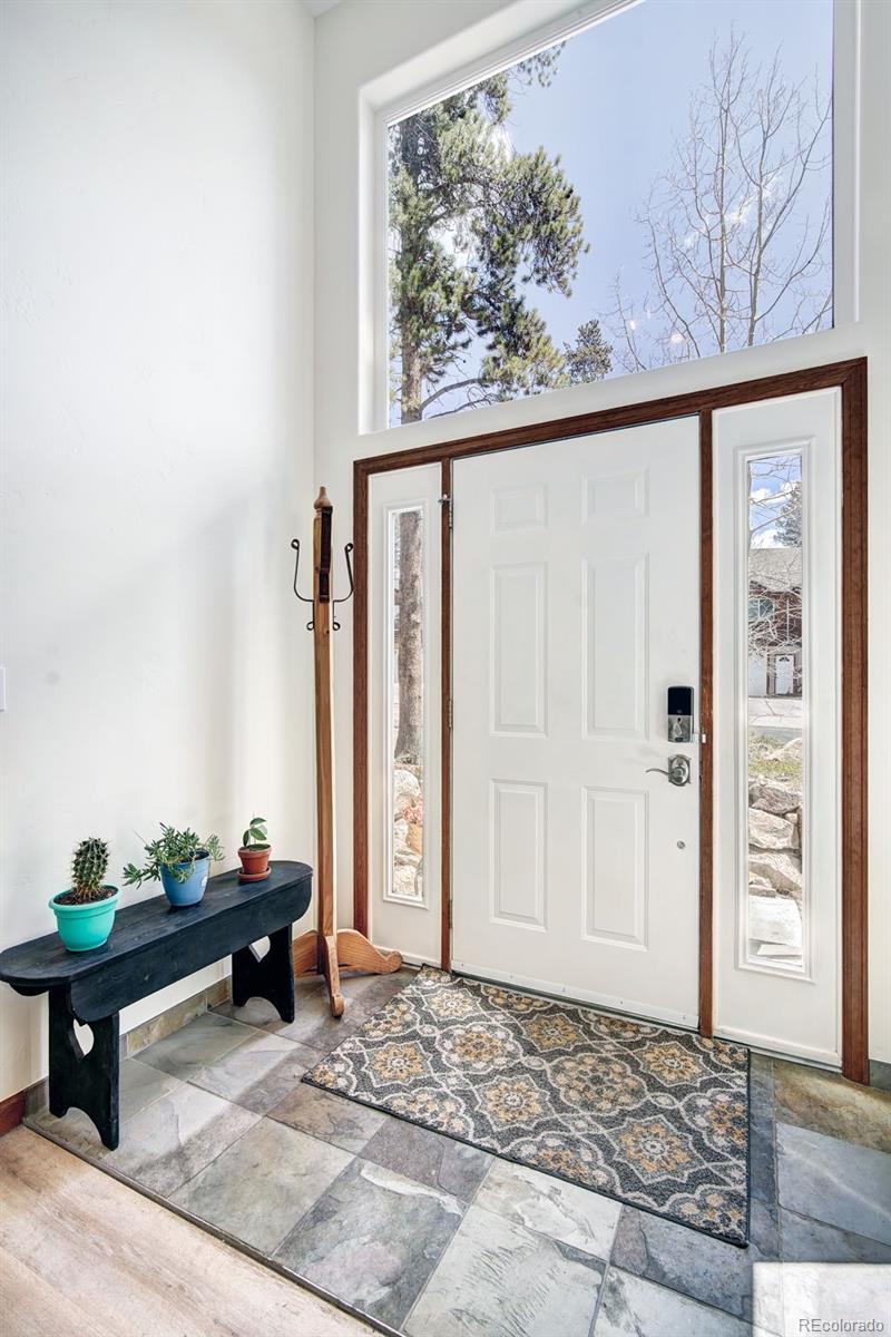 148 Imogene Cir, Leadville, CO 80461