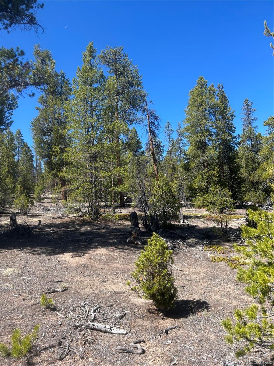 266 Ponderosa Dr Lot 14, Leadville, CO 80461