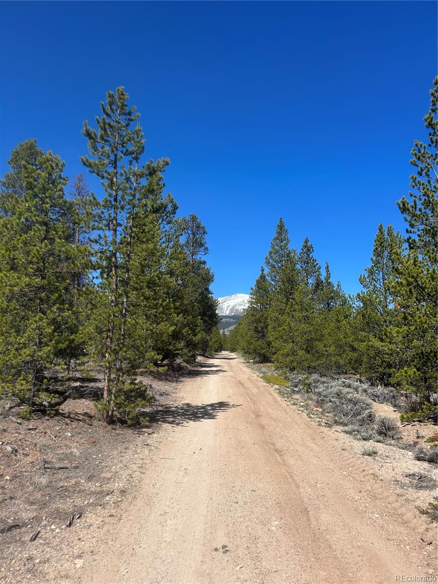 266 Ponderosa Dr Lot 14, Leadville, CO 80461