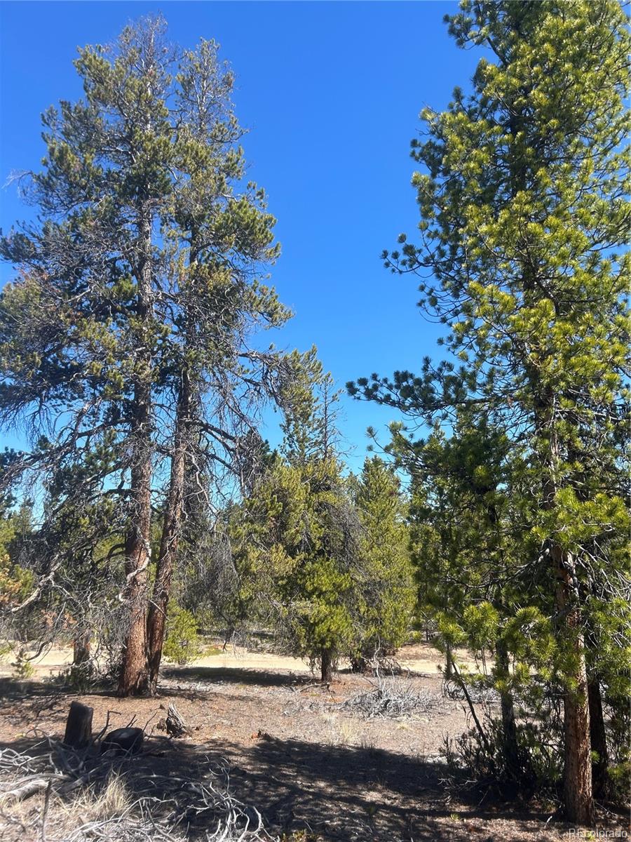 266 Ponderosa Dr Lot 14, Leadville, CO 80461