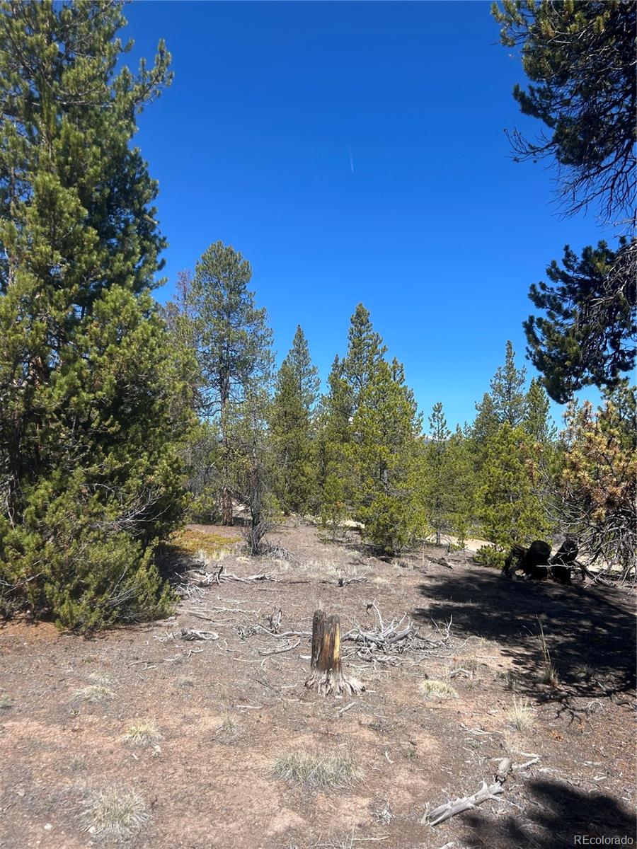 266 Ponderosa Dr Lot 14, Leadville, CO 80461