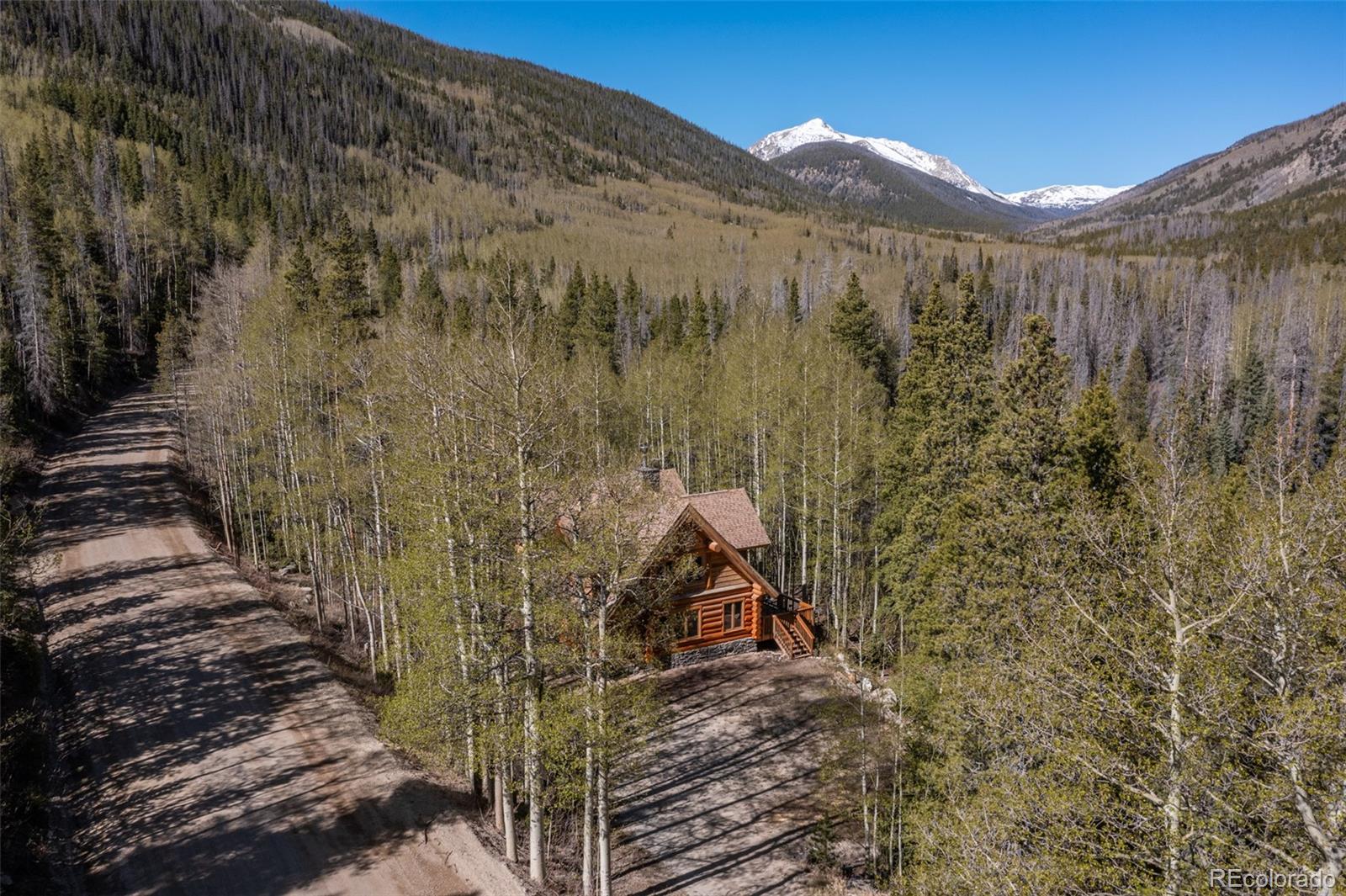 24500 County Road 162, Nathrop, CO 81236