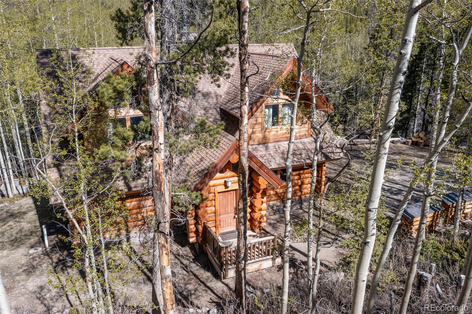 24500 County Road 162, Nathrop, CO 81236
