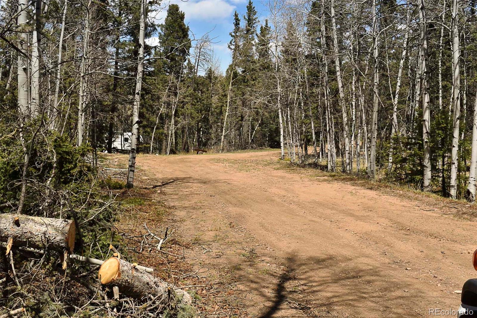 289 Timberline Dr, Guffey, CO 80820