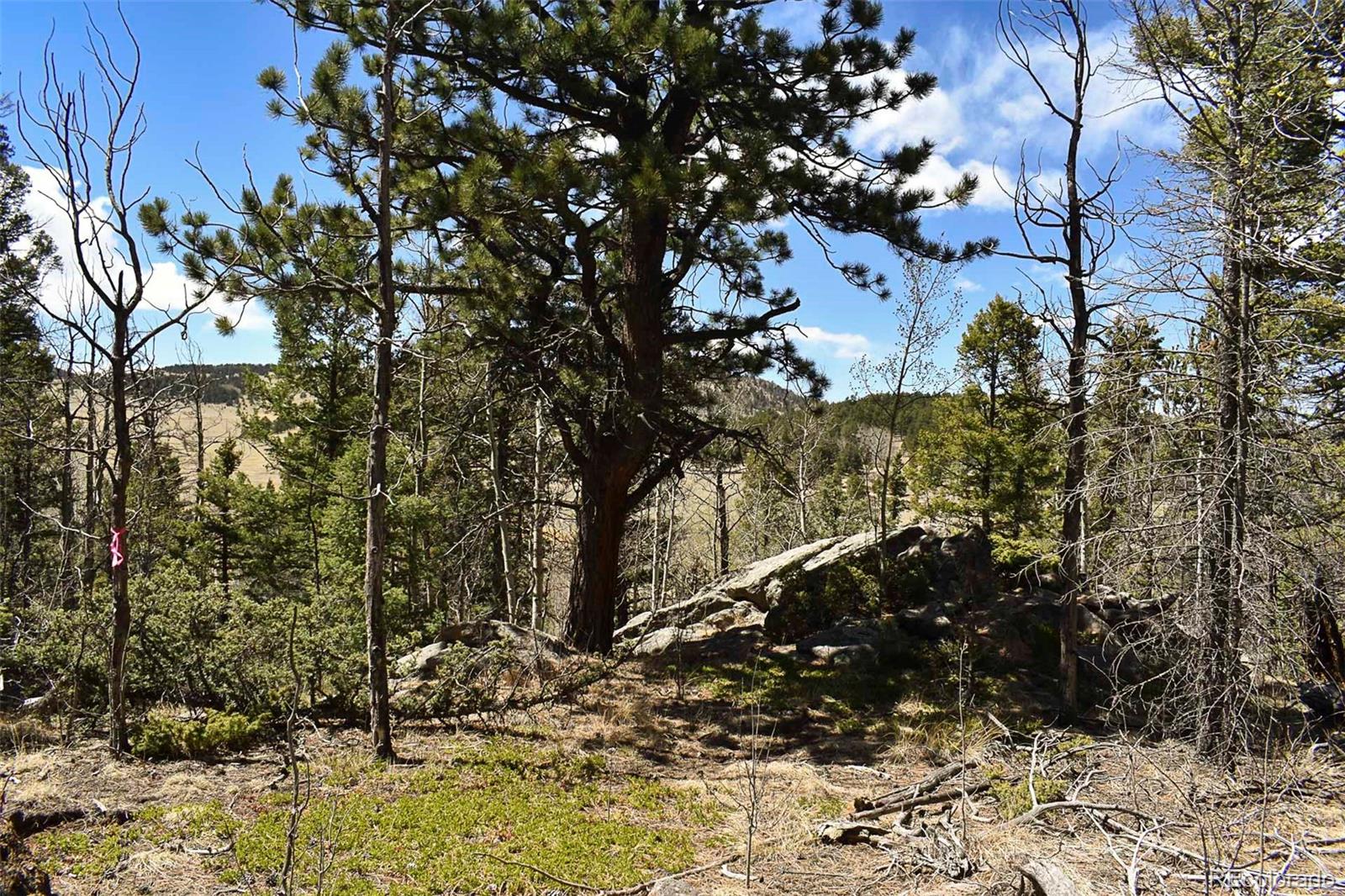 289 Timberline Dr, Guffey, CO 80820