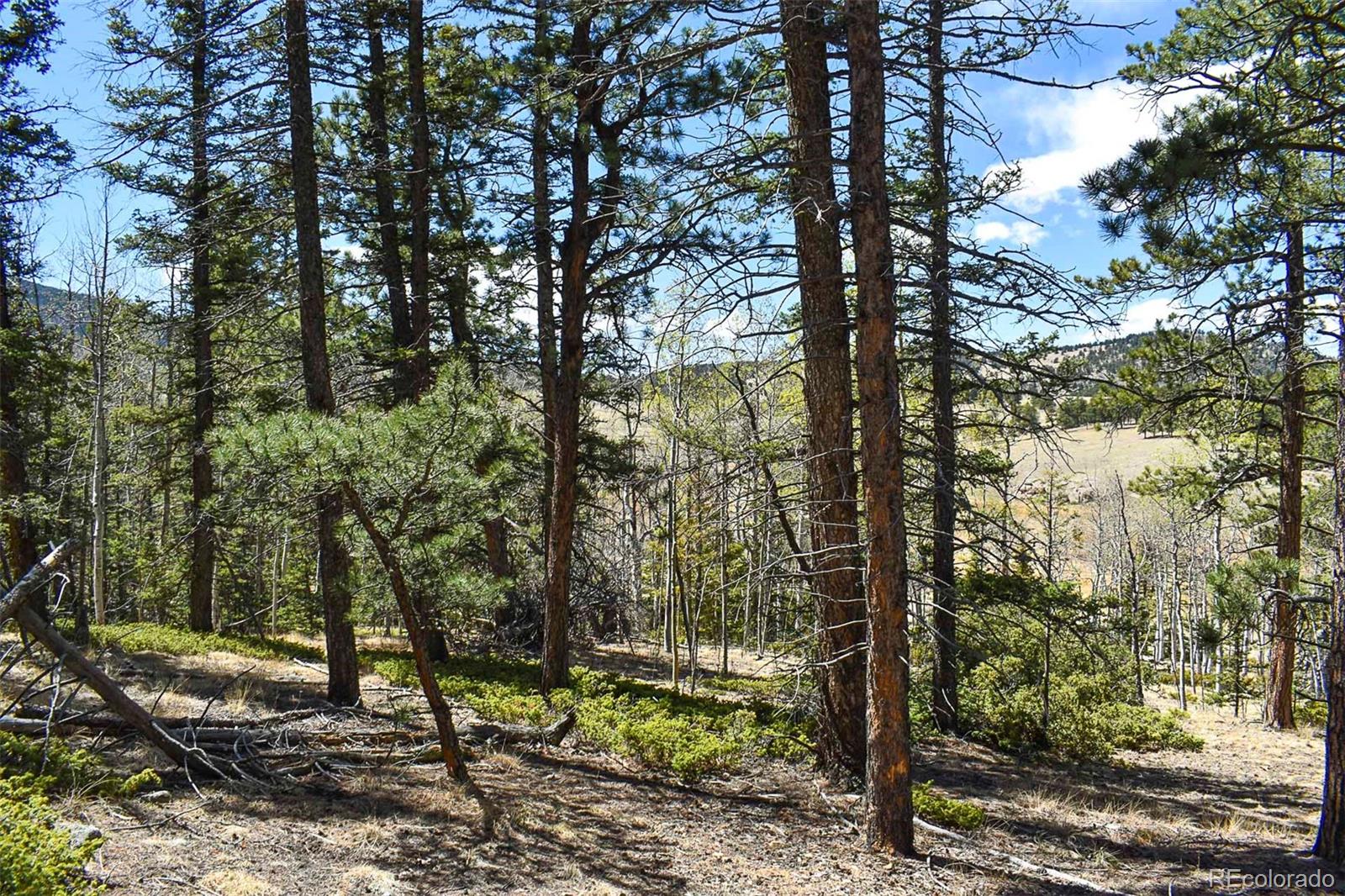 289 Timberline Dr, Guffey, CO 80820