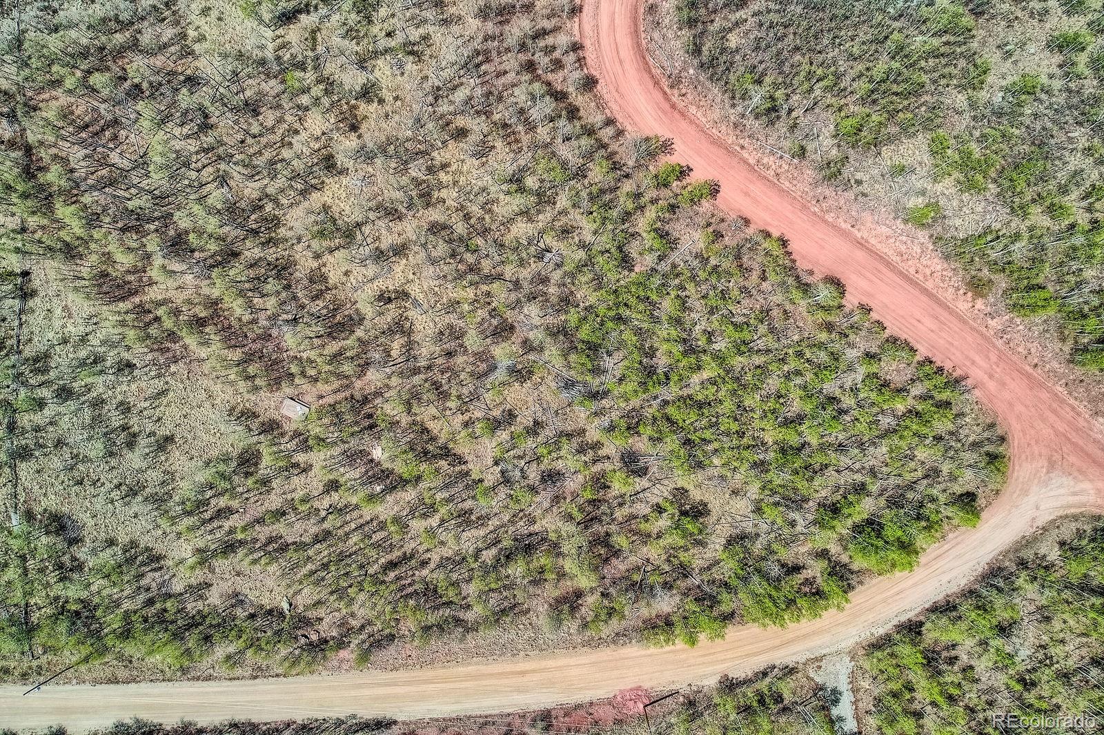 612 Iron Mountain Rd, Fairplay, CO 80440