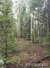 Lot 4-6 8th St, Jasper, CO 81132
