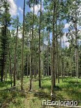 Lot 4-6 8th St, Jasper, CO 81132