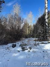 Unit 2 Tract 5 Zapata, Mosca, CO 81146