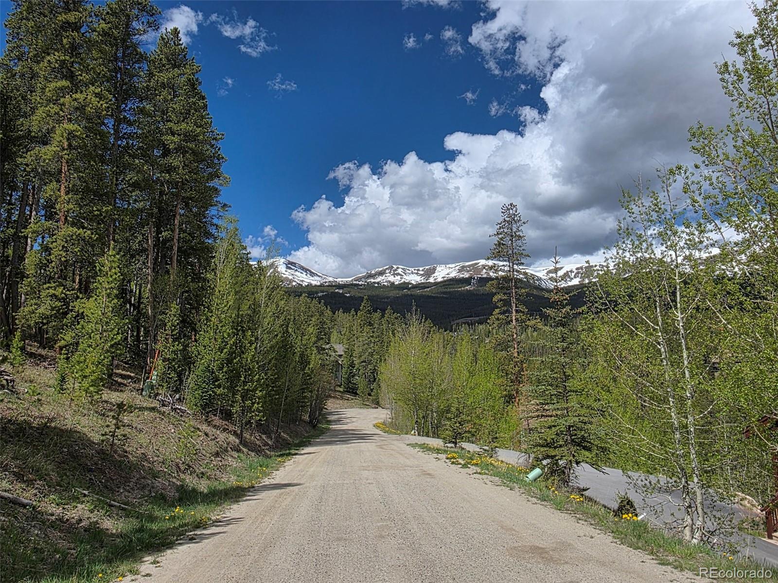 90 Shadows Dr, Breckenridge, CO 80424