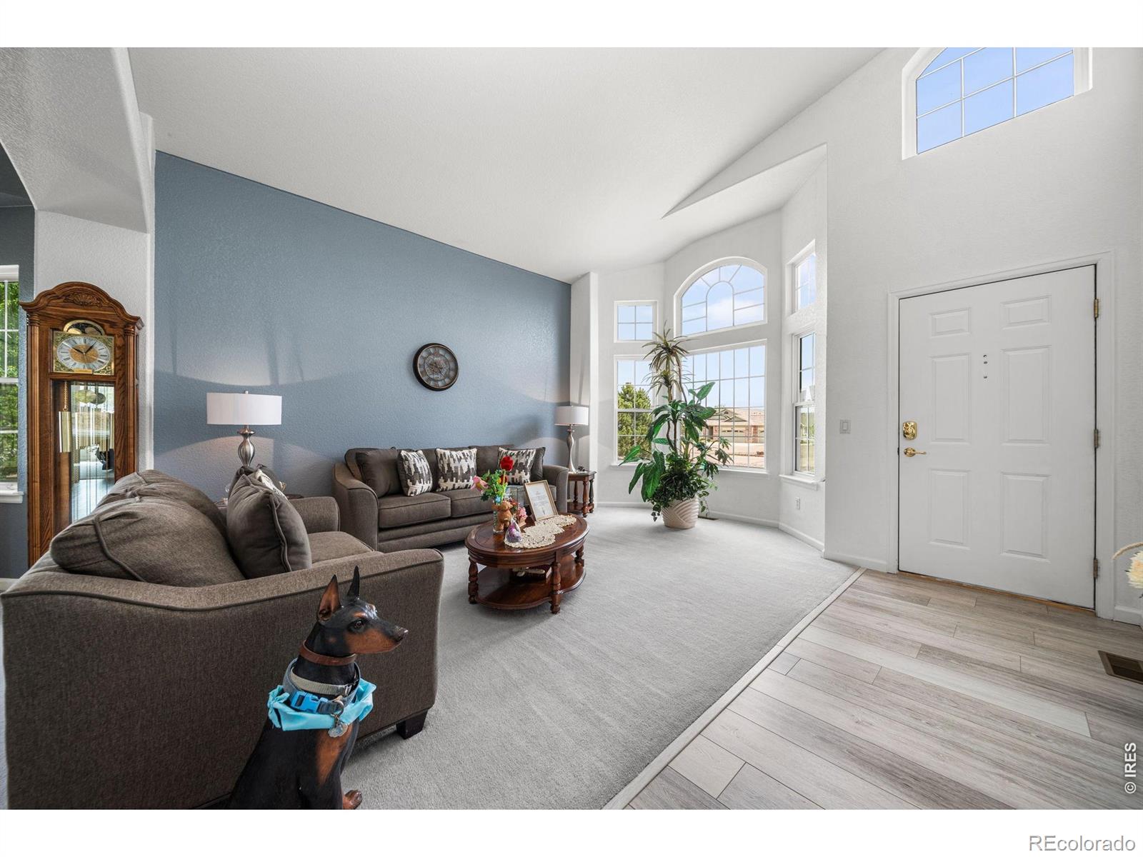 16645 Tree Haven St, Hudson, CO 80642