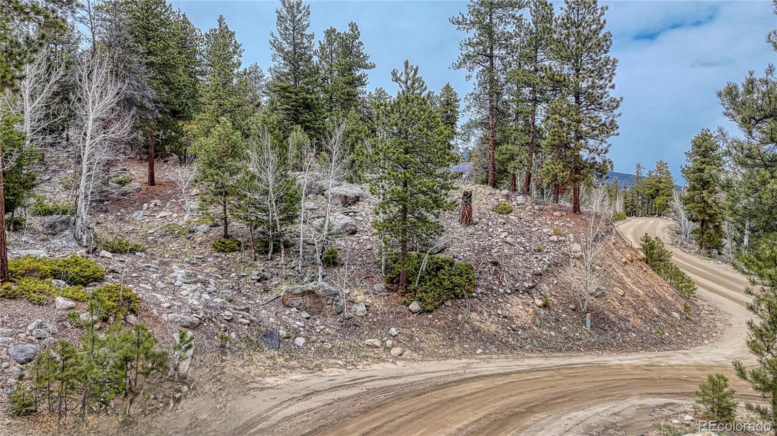 30176 Mountaintop Dr, Buena Vista, CO 81211