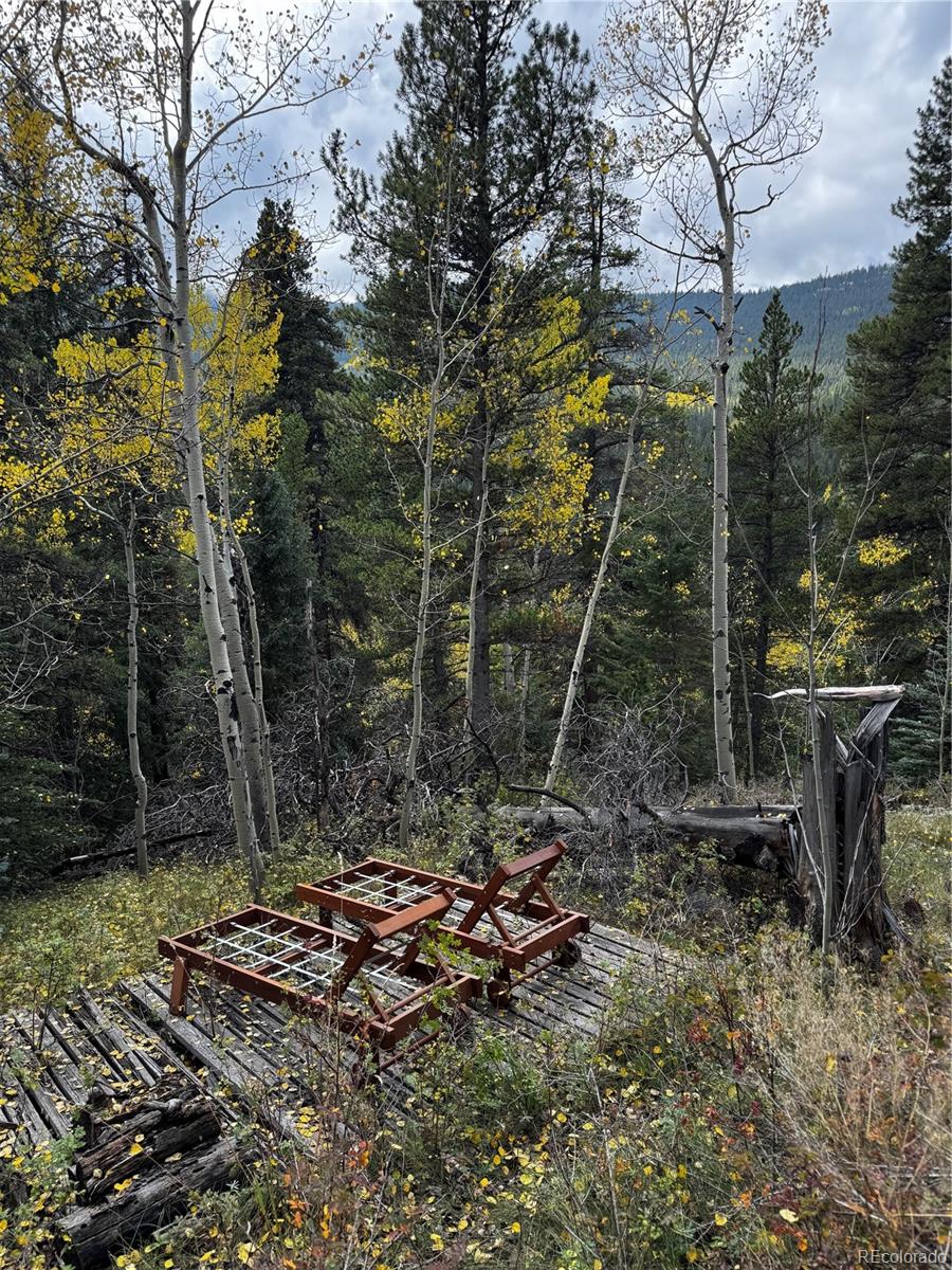 190 Blue Bell Ln, Idaho Springs, CO 80452