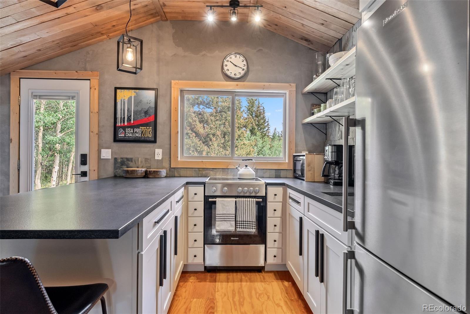 932 Peterson Dr, Alma, CO 80420
