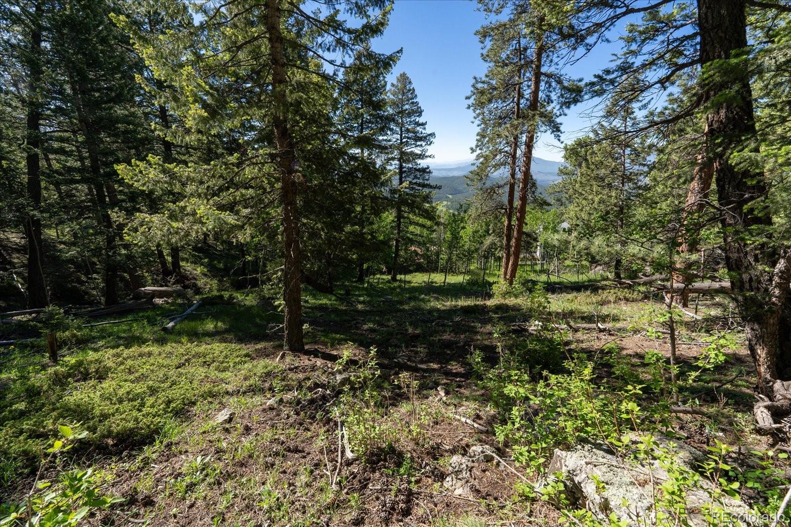 11698 Nichols Way, Conifer, CO 80433