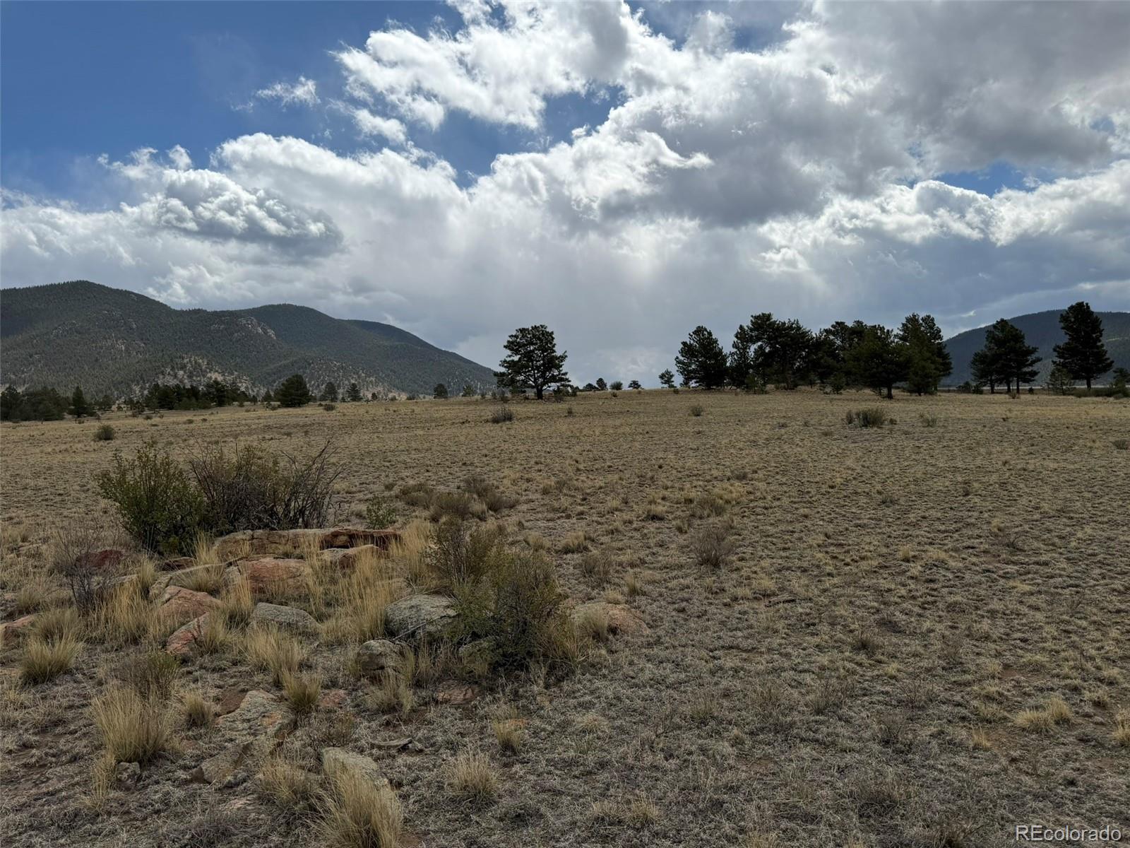 42 Turner Gulch Rd, Hartsel, CO 80449
