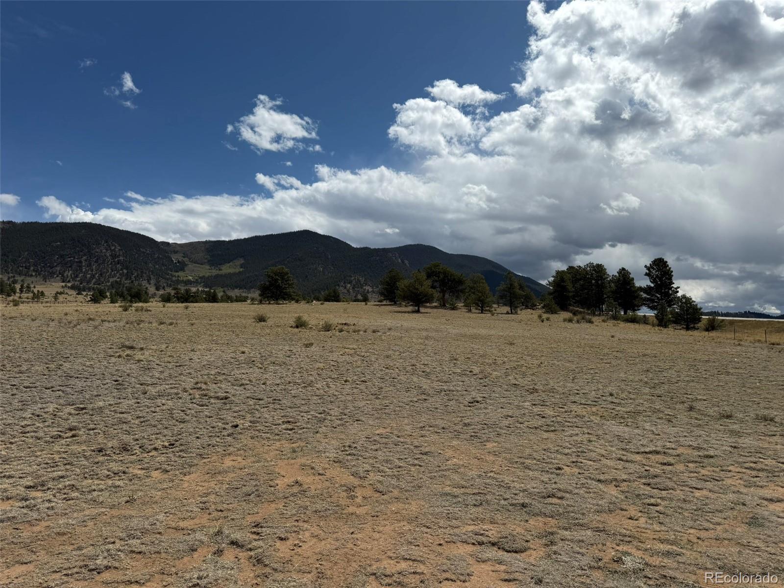 42 Turner Gulch Rd, Hartsel, CO 80449