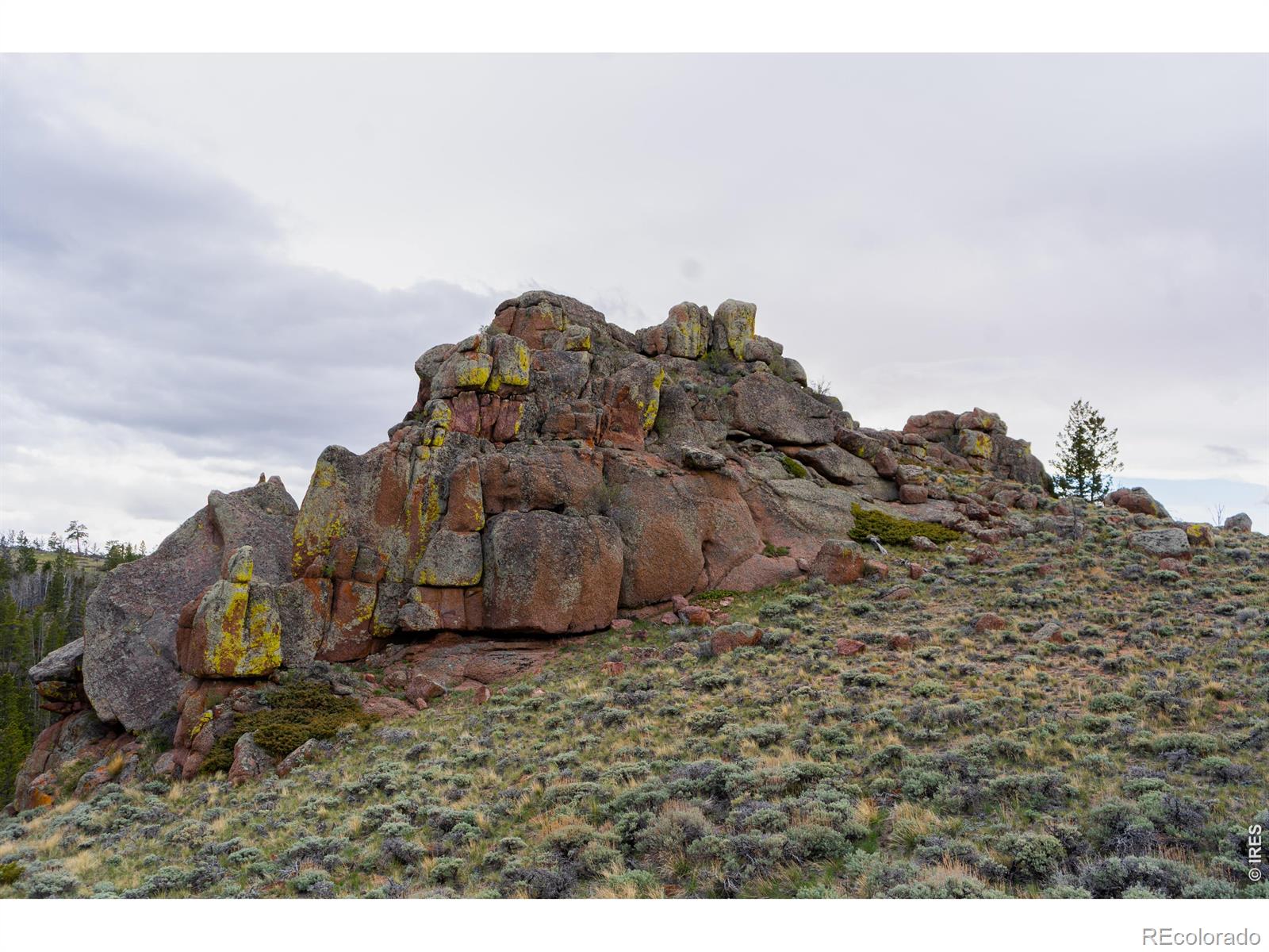 0 Laramie Overlook Roads, Livermore, CO 80536