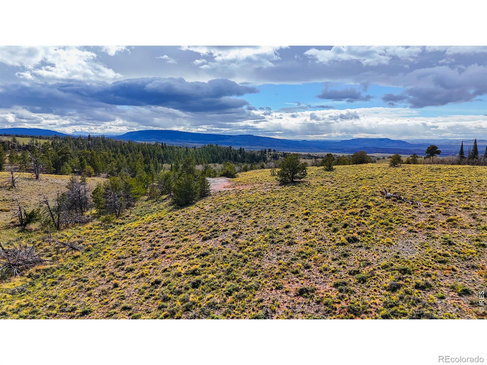 0 Laramie Overlook Roads, Livermore, CO 80536