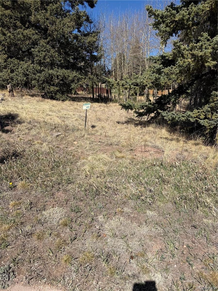 405 Meadow Park Dr Lot 40, Divide, CO 80814