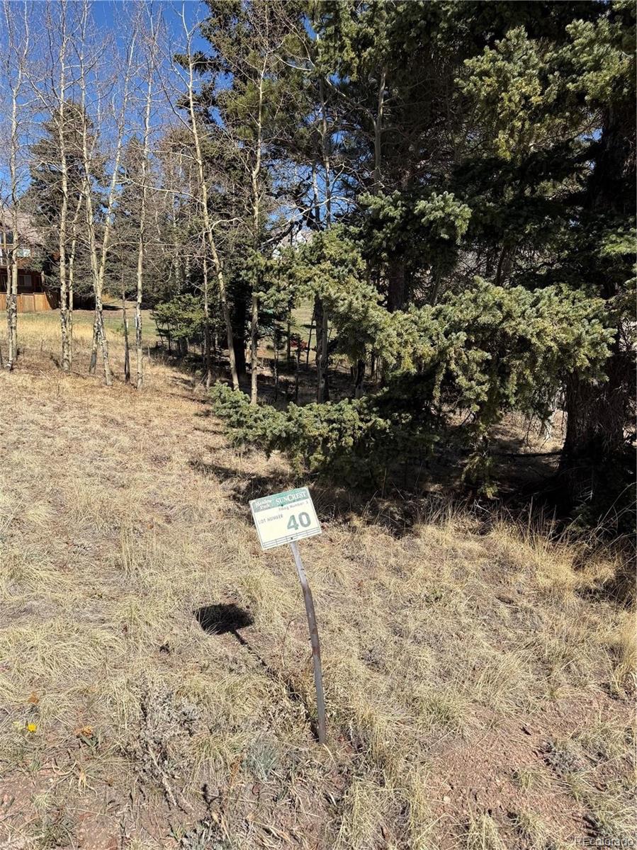405 Meadow Park Dr Lot 40, Divide, CO 80814