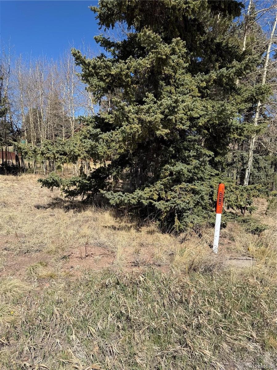 405 Meadow Park Dr Lot 40, Divide, CO 80814