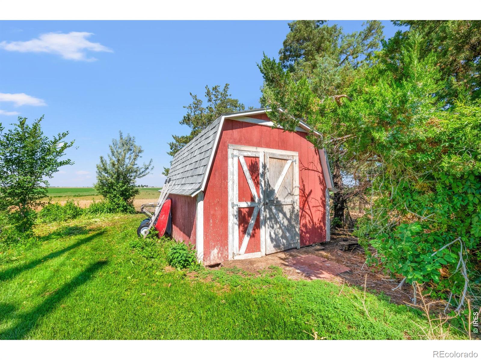 19487 County Road 6, Wiggins, CO 80654