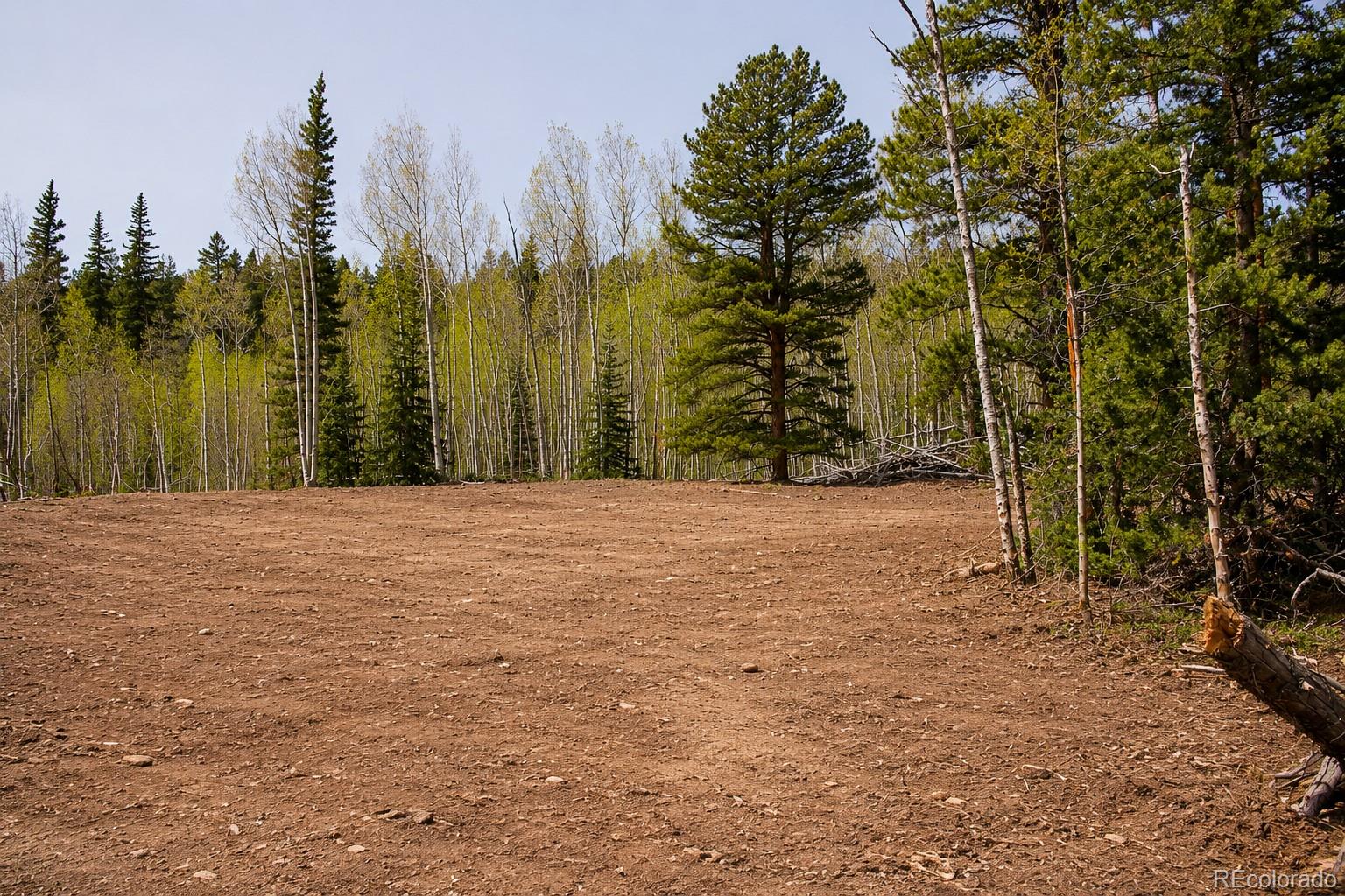 940 Lewsader Rd, Alma, CO 80420