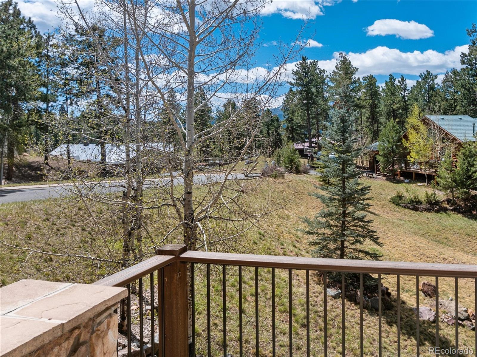 775 Skyline Dr, Woodland Park, CO 80863