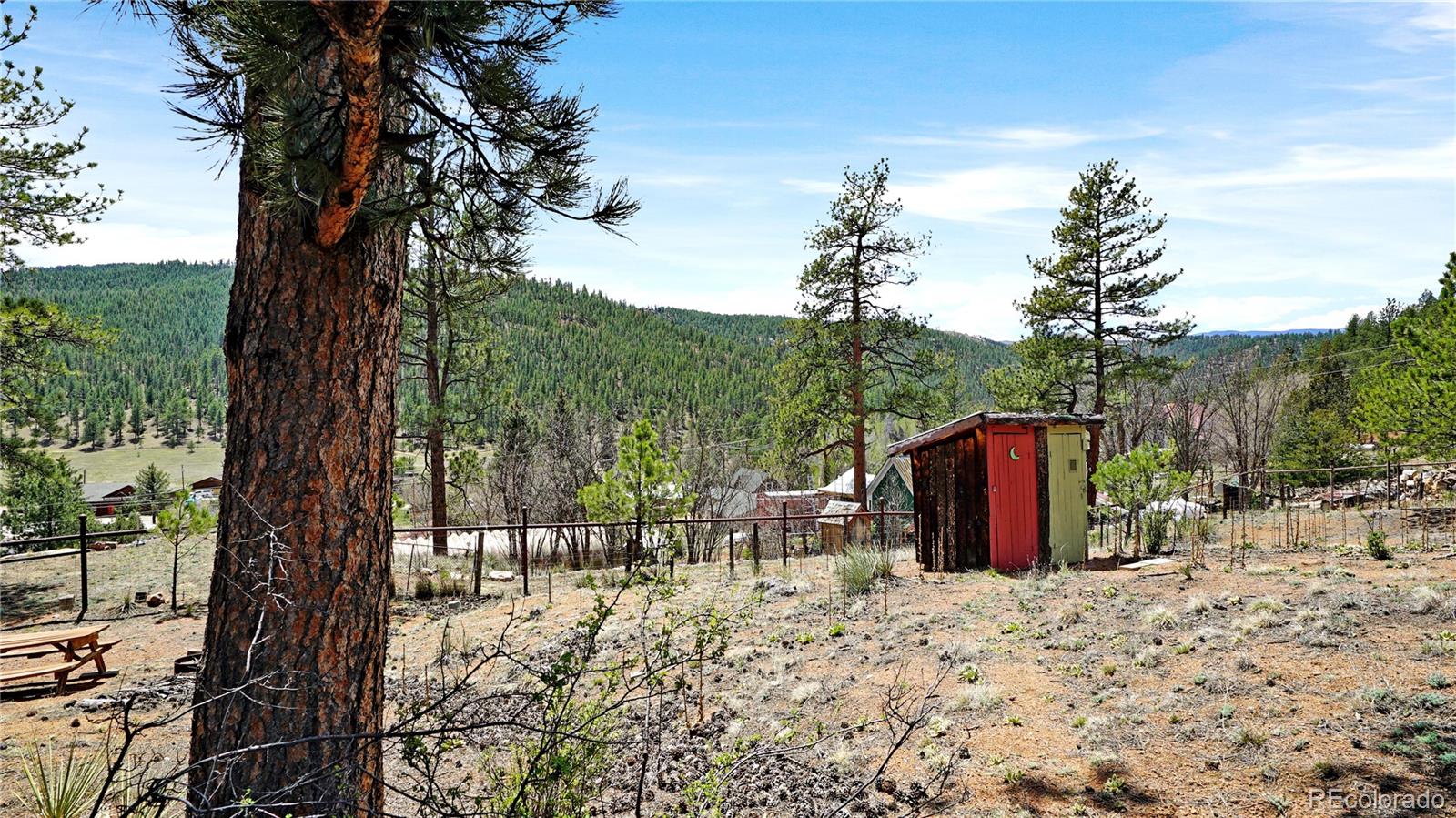 28368 Cedar Ave, Pine, CO 80470