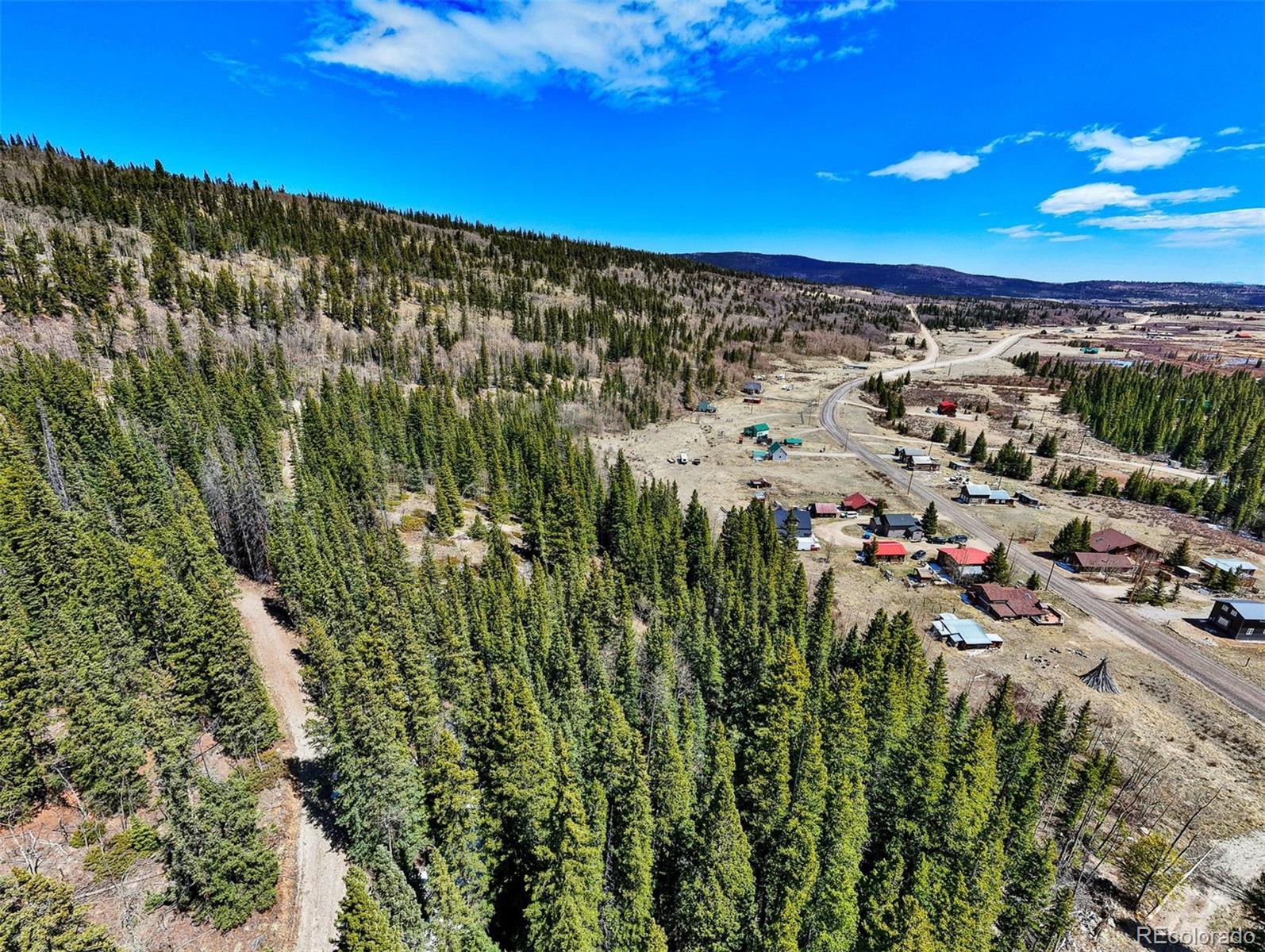 270 Co Rd 667, Fairplay, CO 80440
