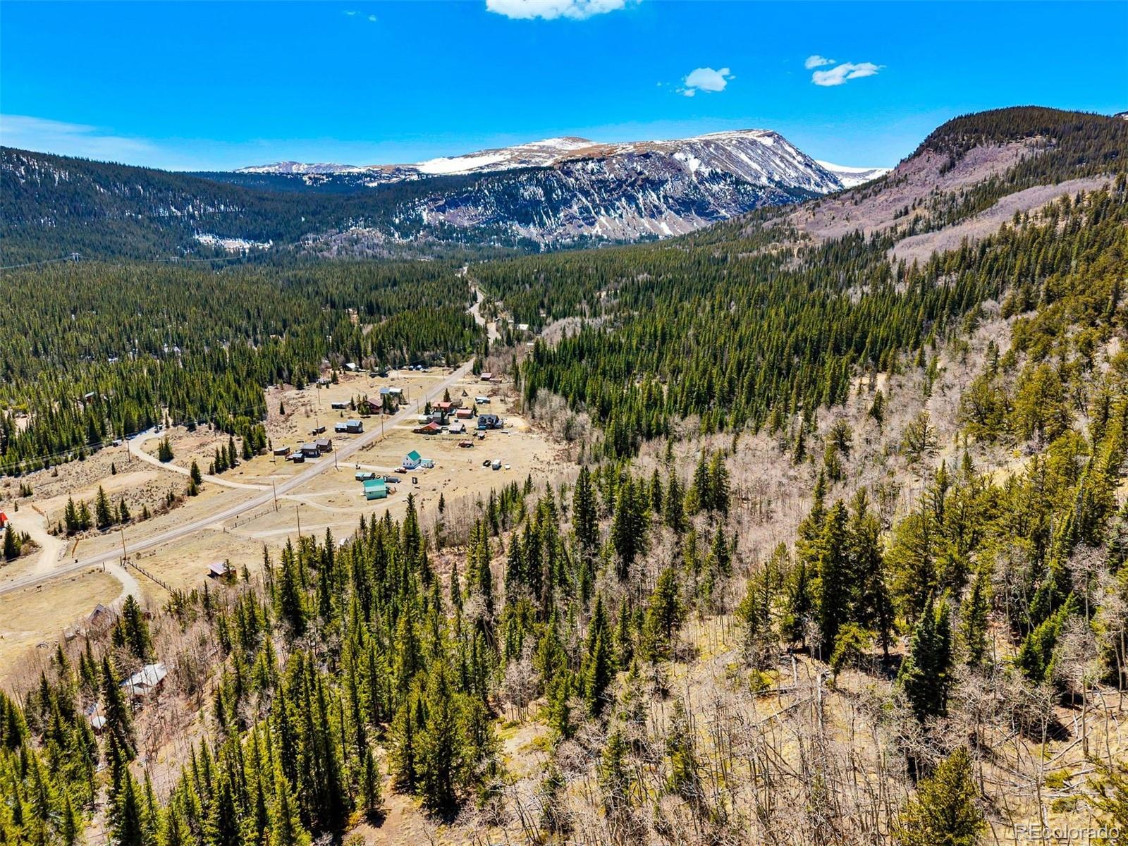270 Co Rd 667, Fairplay, CO 80440