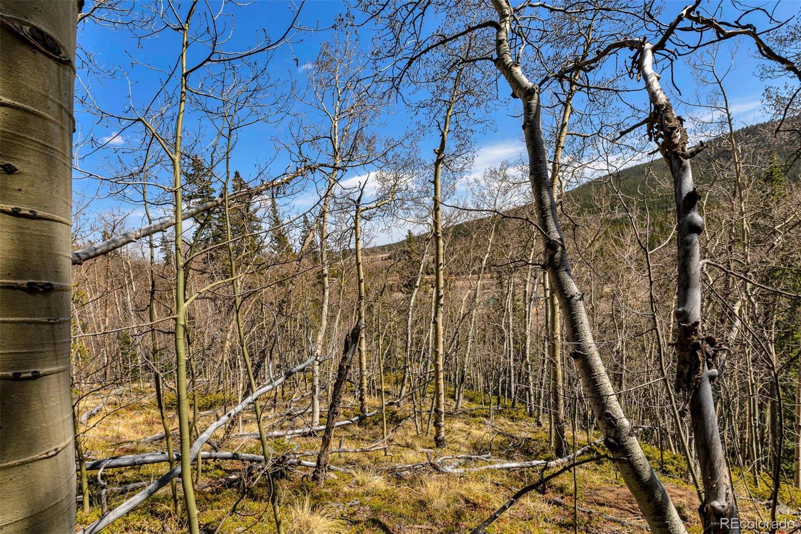270 Co Rd 667, Fairplay, CO 80440