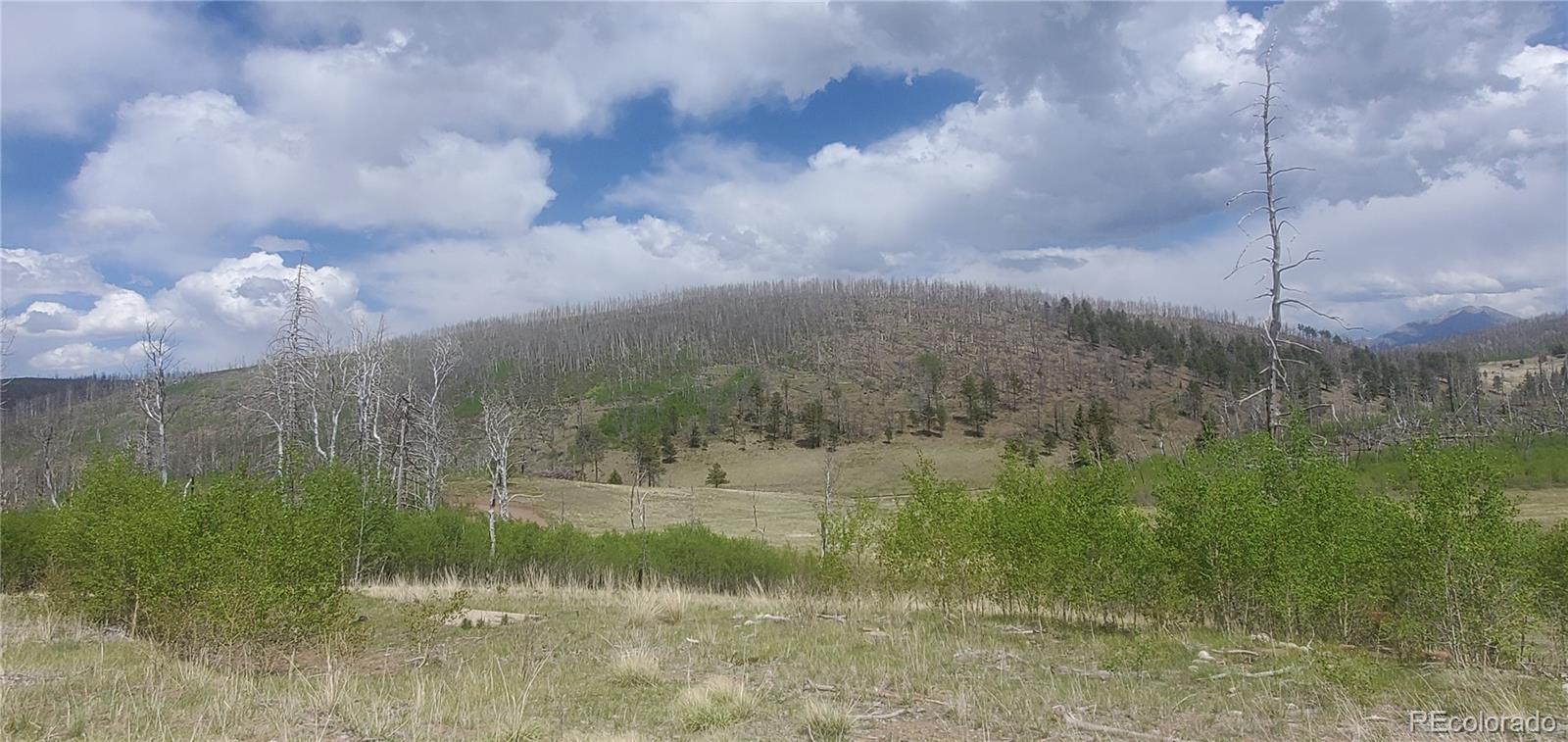 1648 Cary Ln Lot 1648, Fort Garland, CO 81133